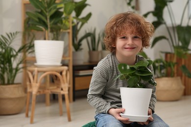 Photo of Cute little boy holding beautiful green plant at home. House decor