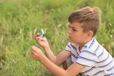 Photo of Cute little boy exploring plant outdoors. Child spending time in nature