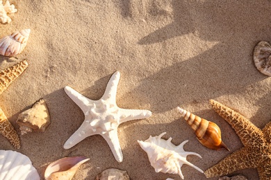 Flat lay composition with starfishes and seashells on sandy beach. Space for text