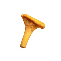 Photo of Fresh wild chanterelle mushroom isolated on white