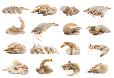 Image of Set of fresh raw shrimps on white background