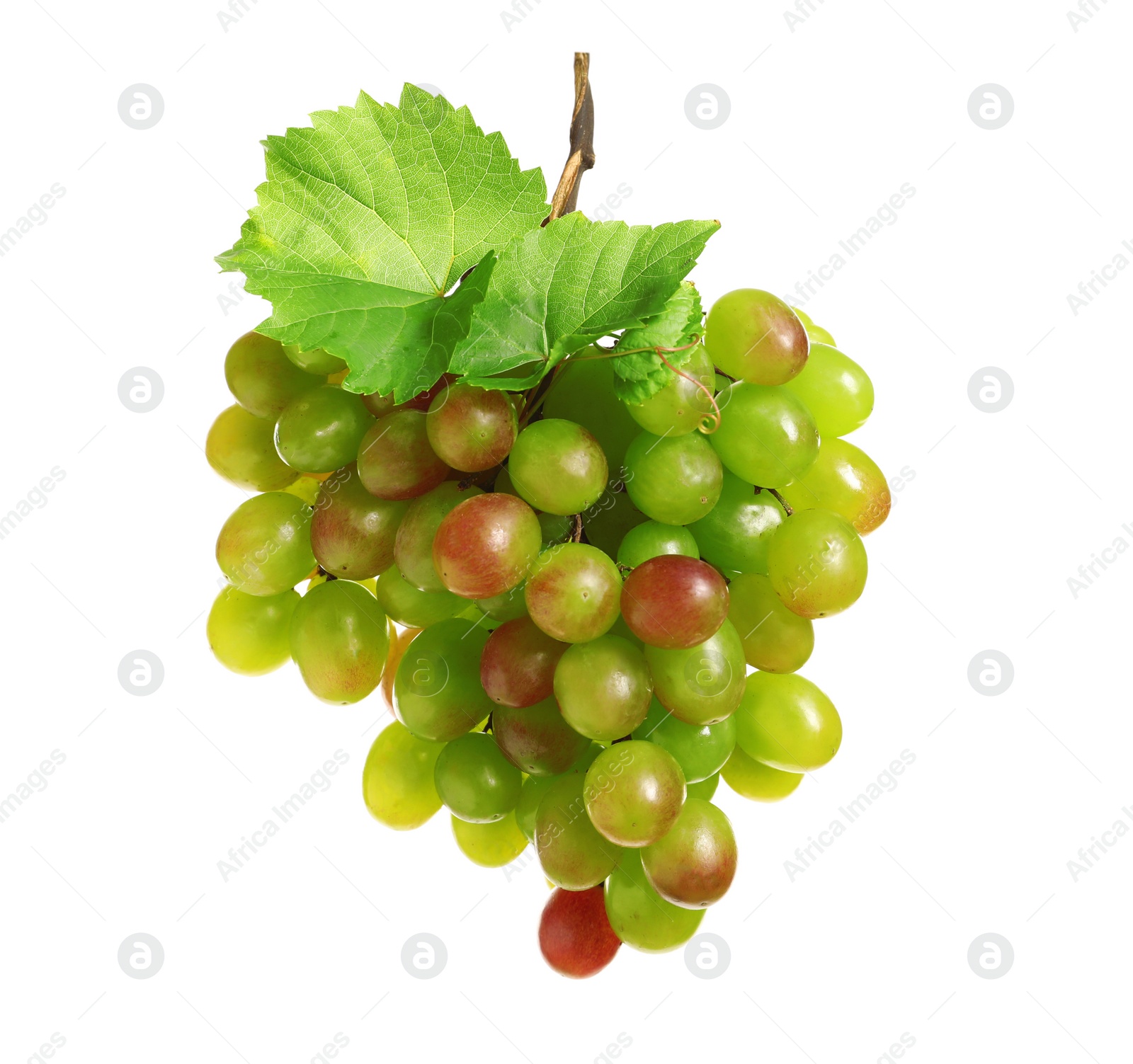 Photo of Bunch of fresh ripe juicy grapes on white background