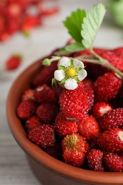 Photo of Fresh wild strawberries and flower in bowl, closeup