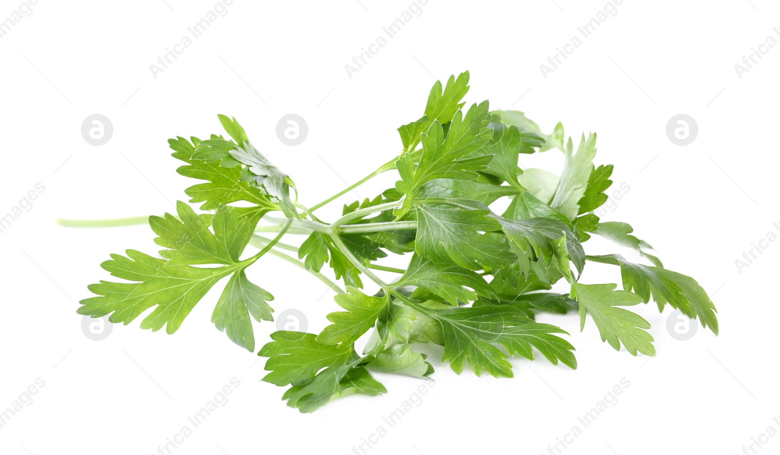 Photo of Aromatic fresh green parsley isolated on white