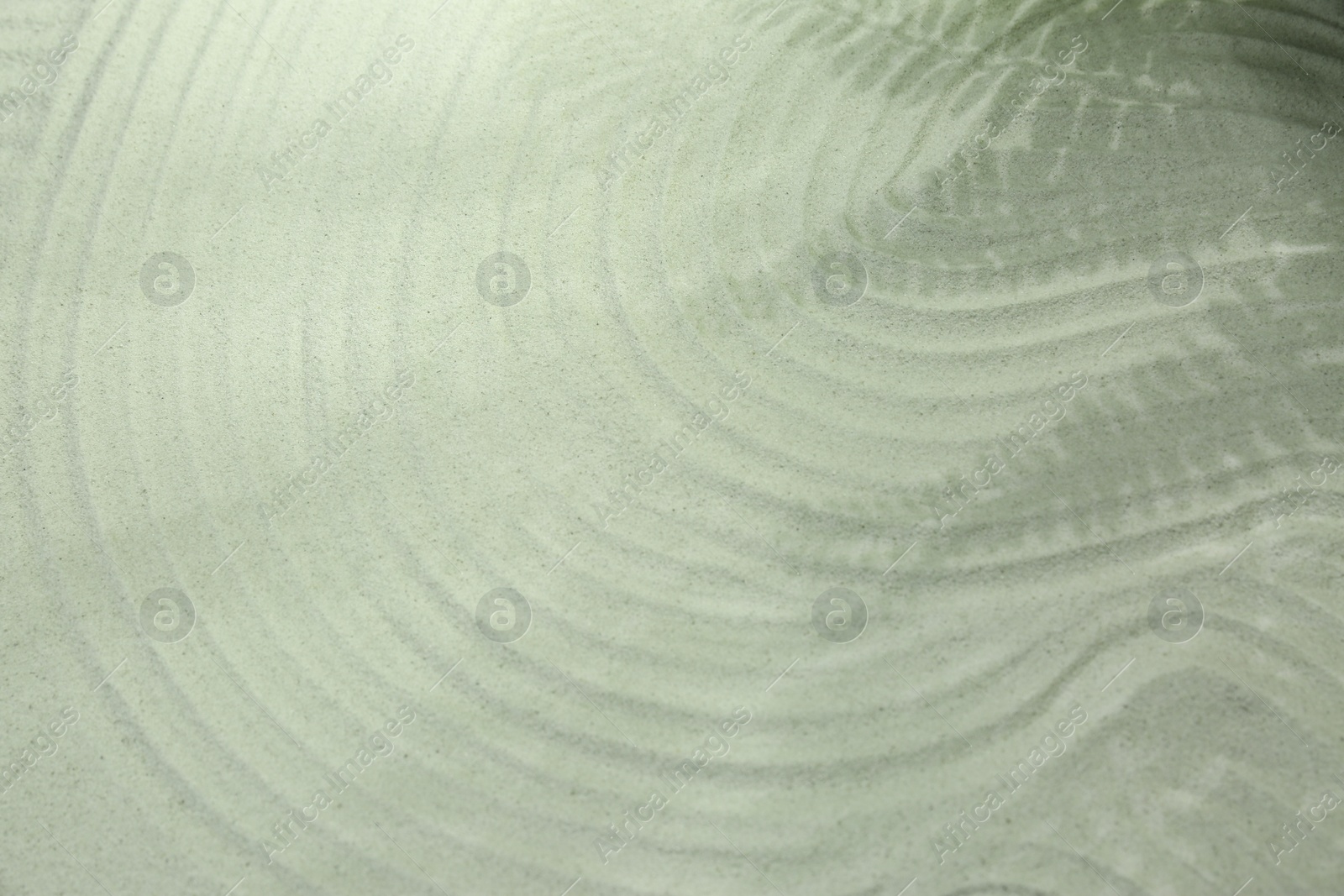 Photo of Beautiful lines and shadows of leaves on sand. Zen garden