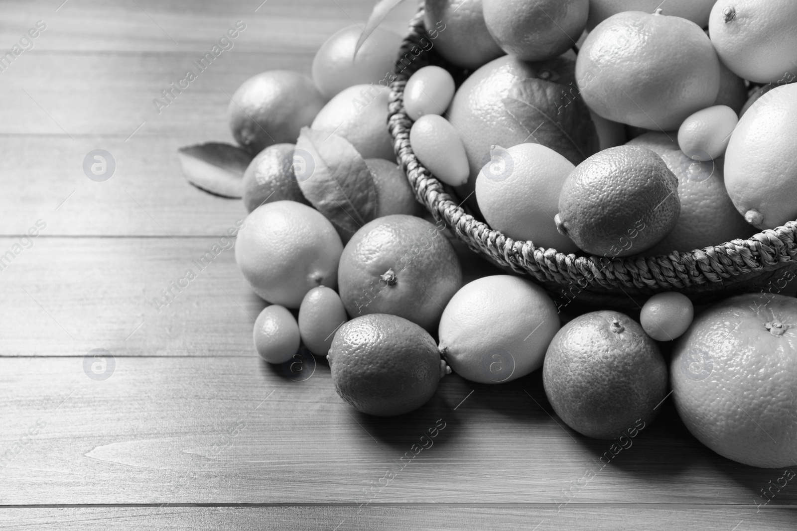 Image of Different citrus fruits on wooden table. Black and white tone 