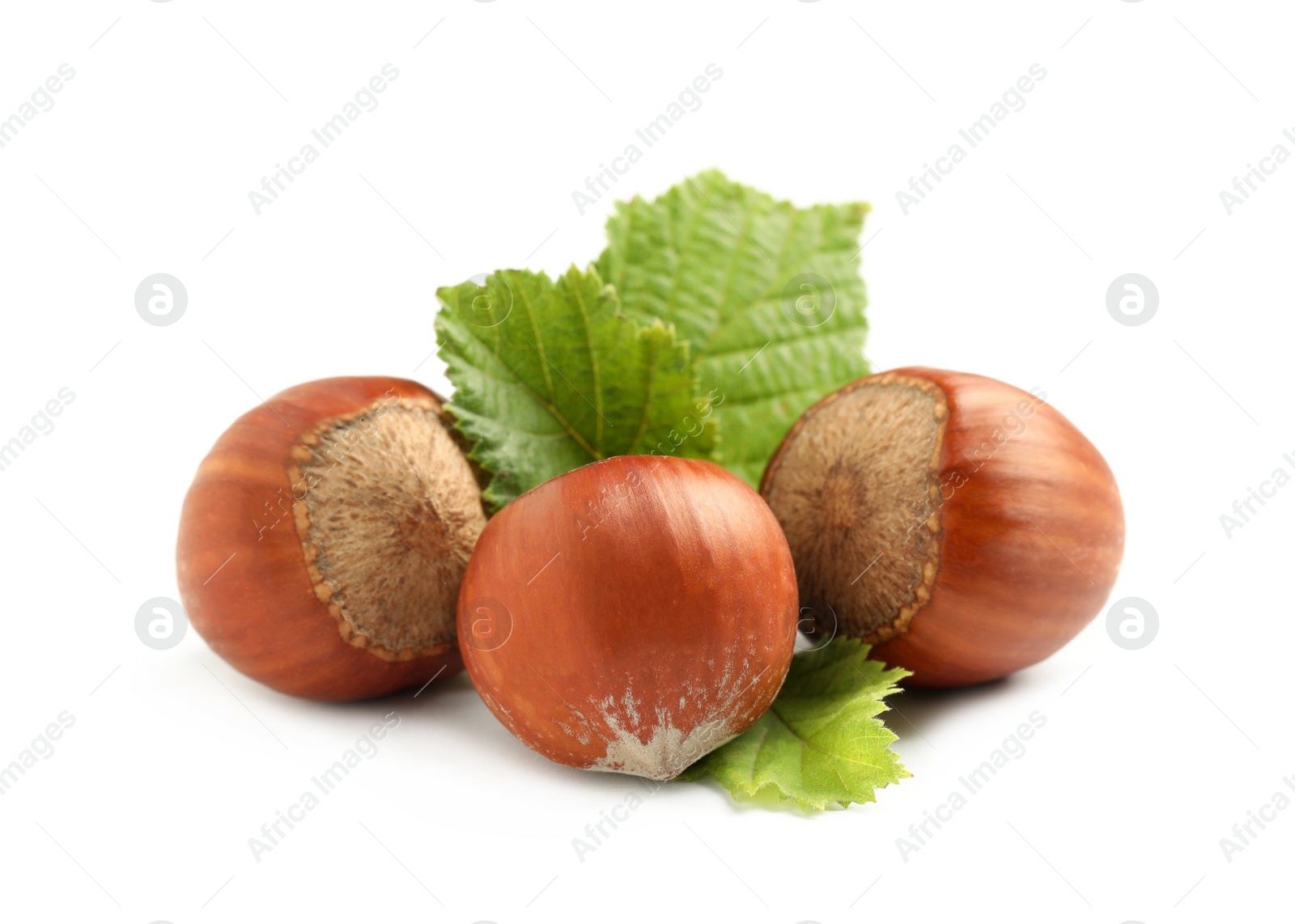Photo of Tasty organic hazelnuts and leaves on white background