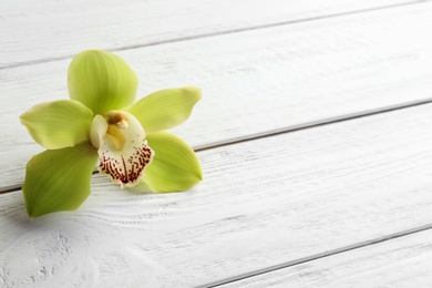 Photo of Beautiful tropical orchid flower on white wooden background. Space for text