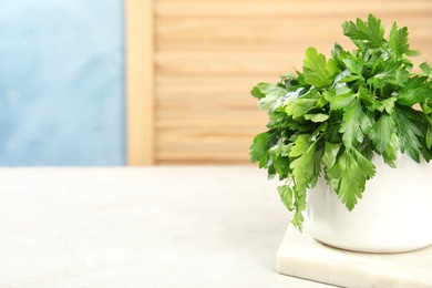 Photo of Fresh green parsley in bowl on table. Space for text