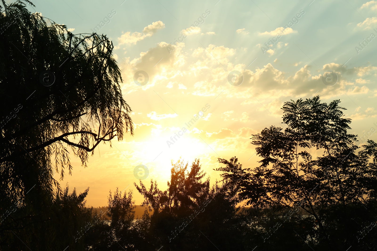 Photo of Picturesque view of beautiful sunset on riverside