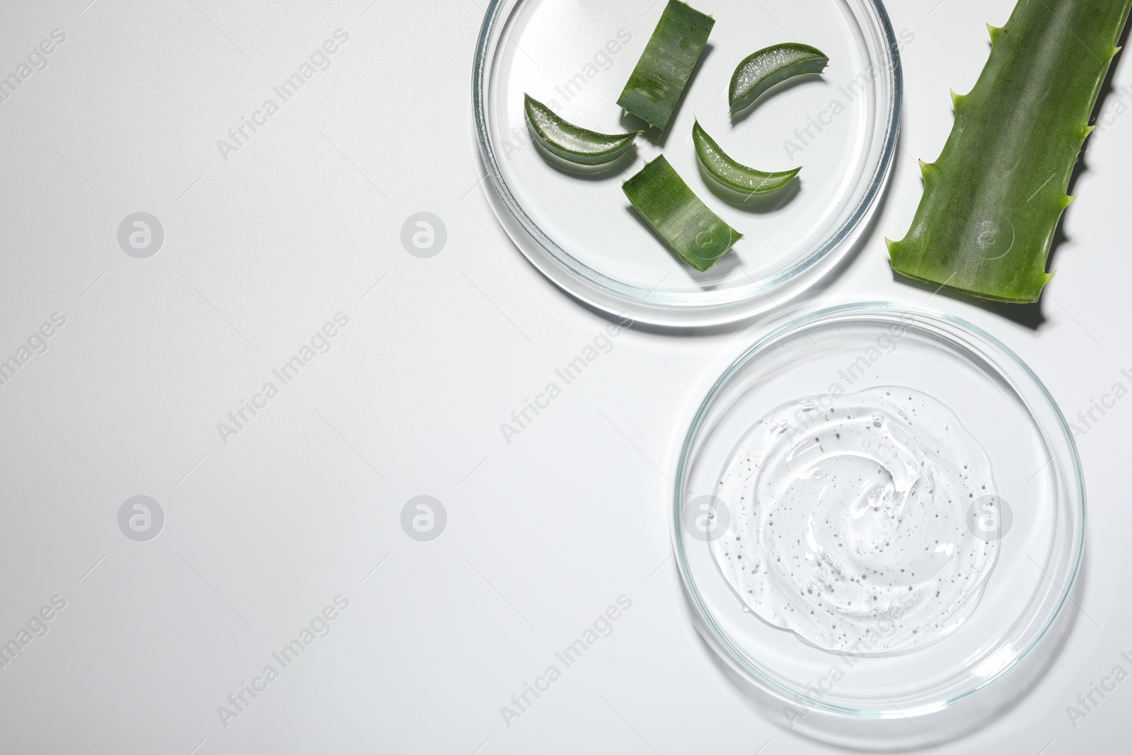 Photo of Petri dishes with cosmetic gel and cut aloe vera on white background, flat lay. Space for text