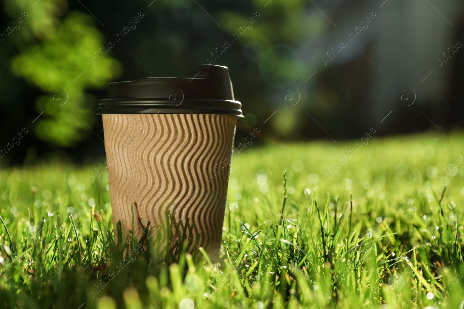 Photo of Cardboard takeaway coffee cup with plastic lid on green grass outdoors, space for text