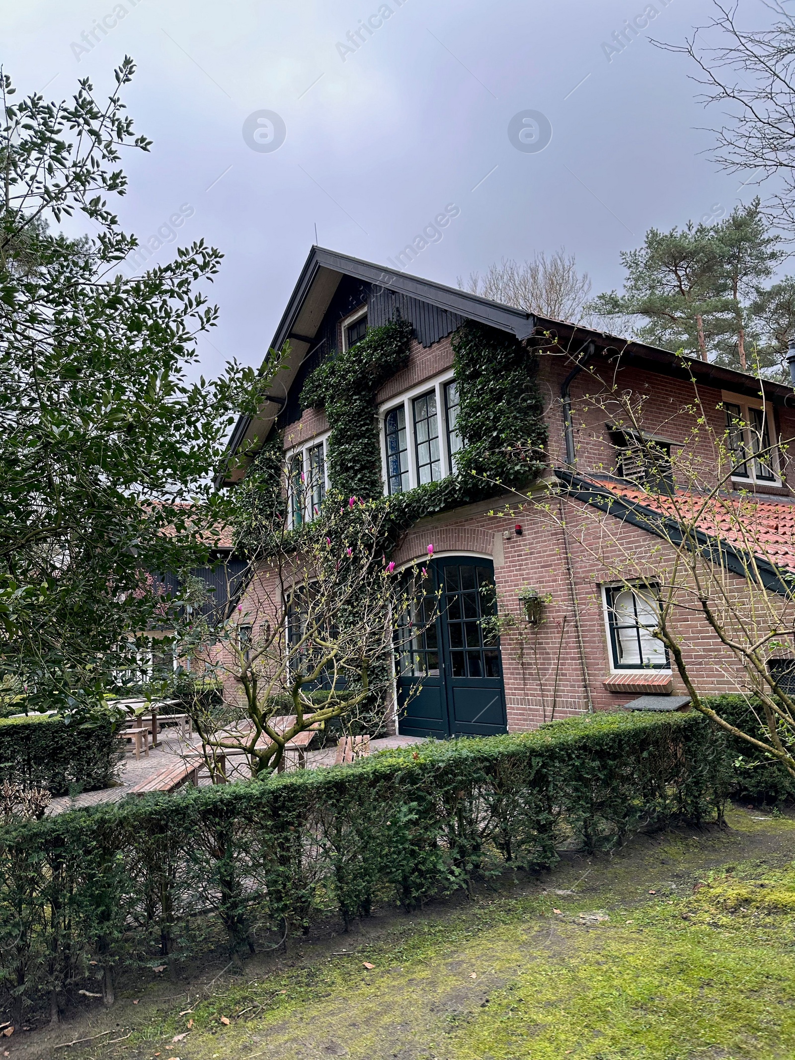 Photo of Luxury hotel and beautiful plants outdoors, low angle view