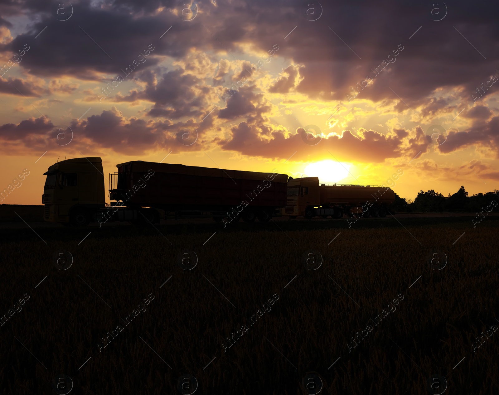 Image of Trucks parked on country road at sunset