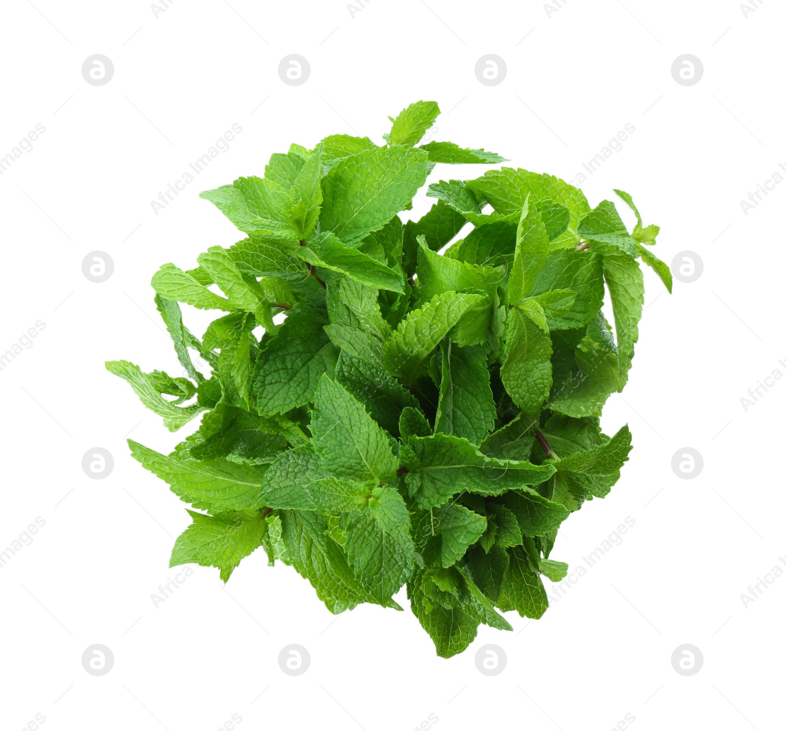 Photo of Bunch of fresh mint isolated on white, top view