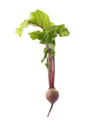 Fresh beet with leaves on white background