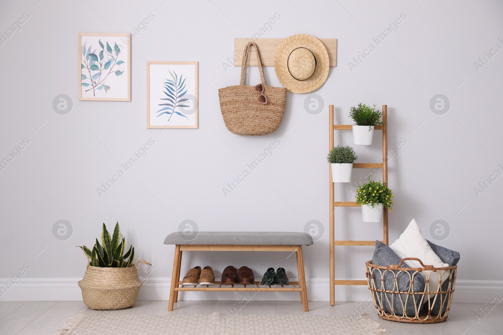 Photo of Beautiful plants and comfortable bench near white wall at home. Idea for interior design