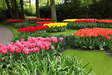 Park with variety of beautiful flowers. Spring season