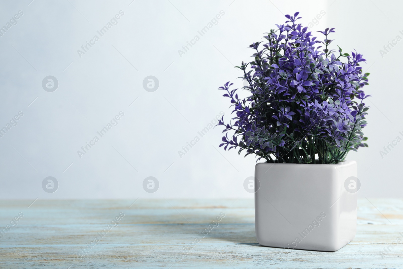 Photo of Artificial plant in flower pot on light blue wooden table. Space for text