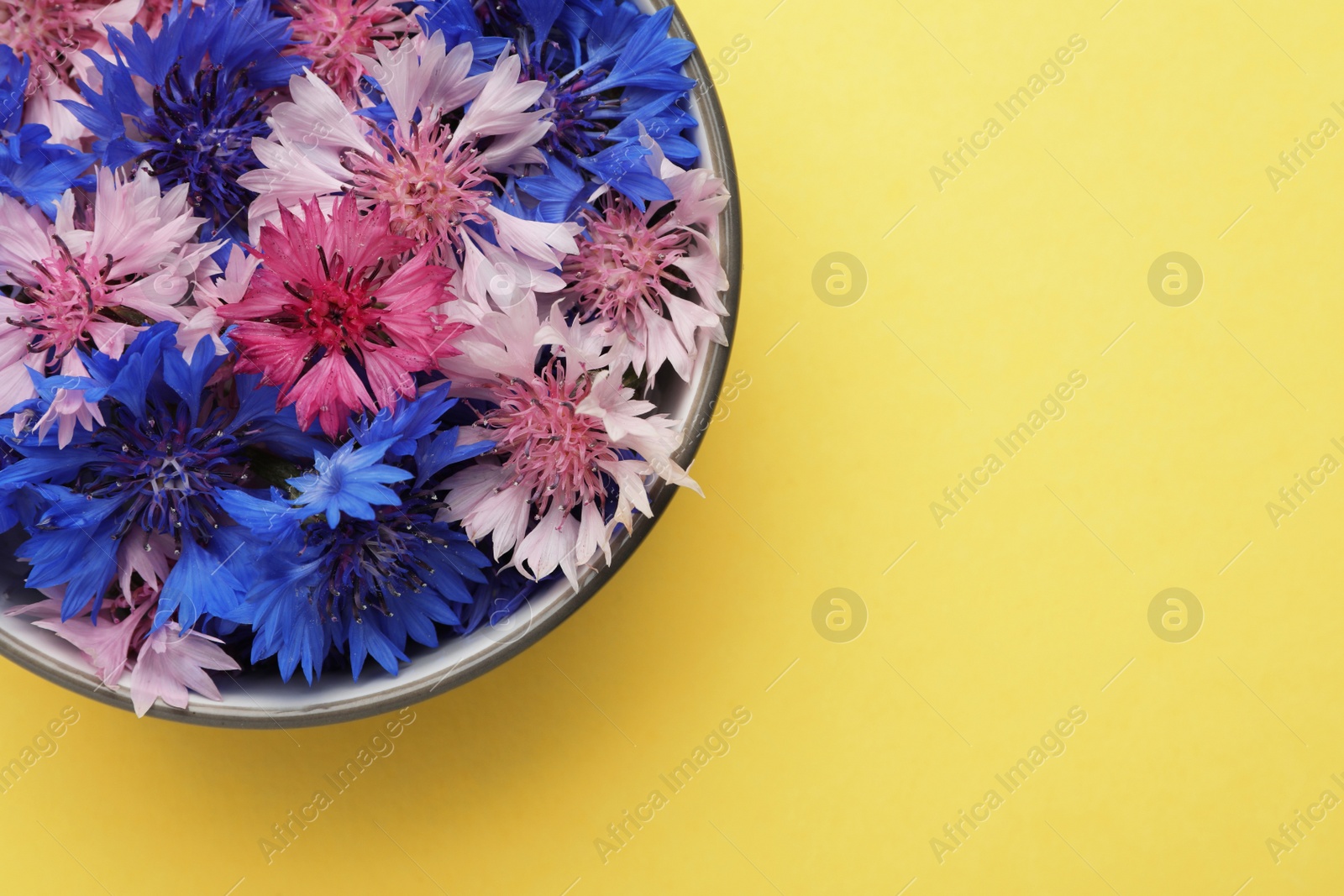 Photo of Beautiful colorful cornflowers in bowl on yellow background, top view. Space for text