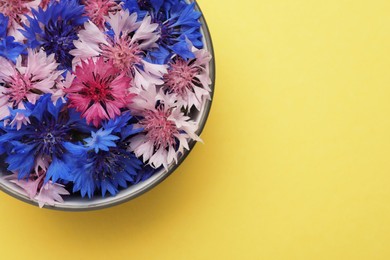 Beautiful colorful cornflowers in bowl on yellow background, top view. Space for text