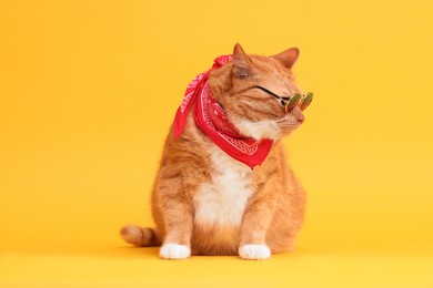 Cute ginger cat in stylish sunglasses and bandana on yellow background