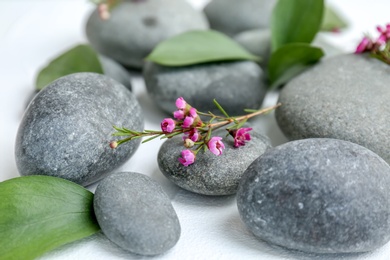 Spa stones and beautiful flowers on white background, closeup