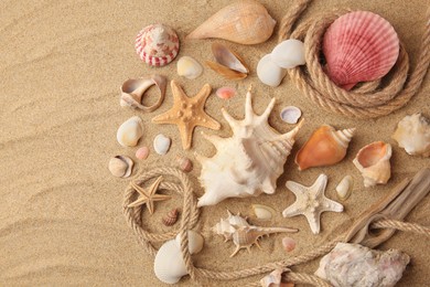 Beautiful sea stars, shells and ropes on sand, flat lay