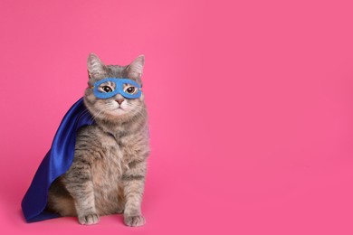 Photo of Adorable cat in blue superhero cape and mask on pink background, space for text
