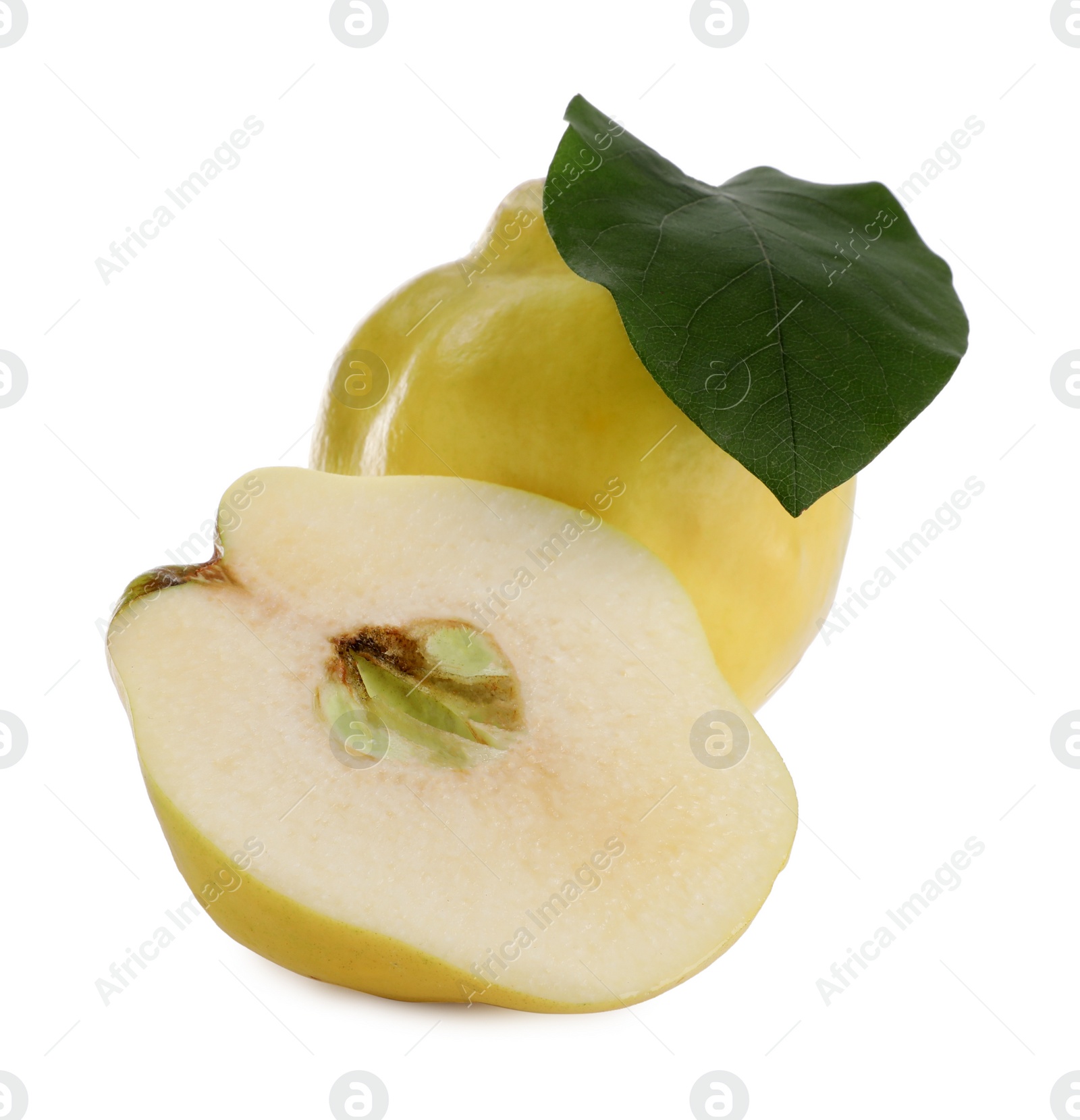 Photo of Whole and cut delicious quinces on white background