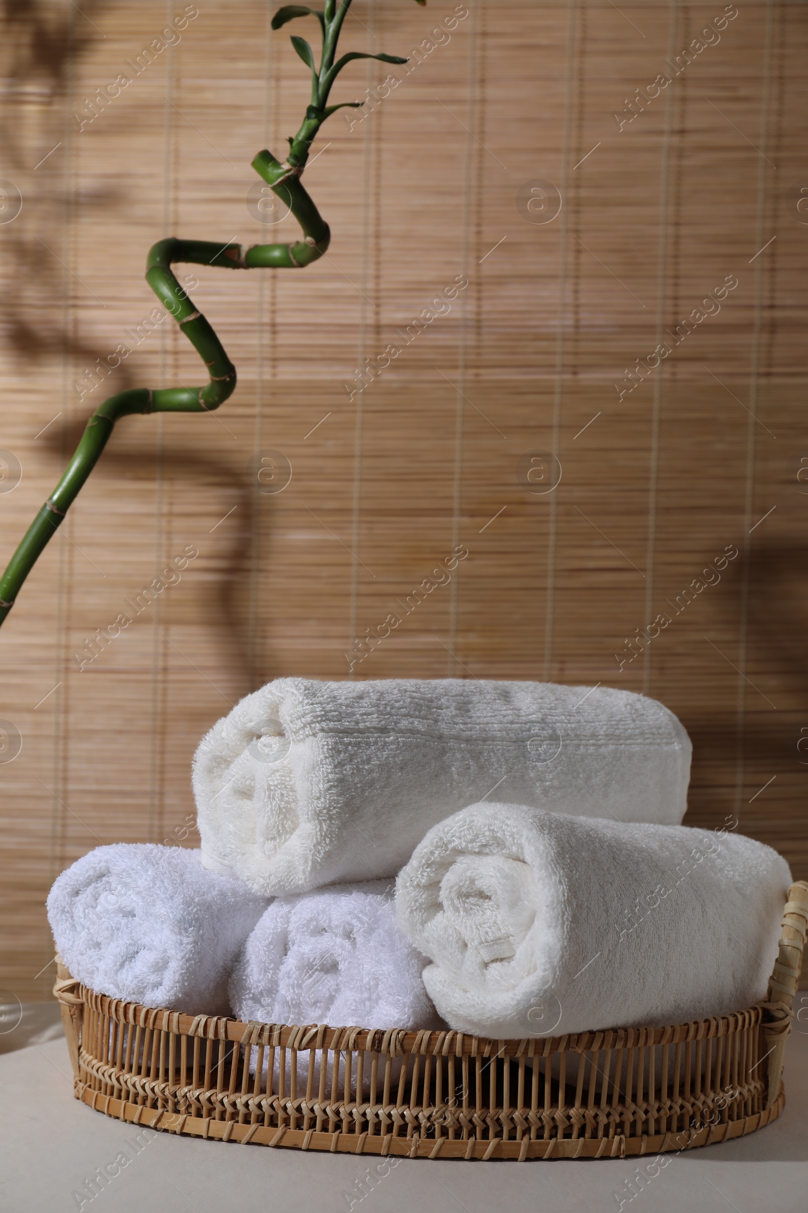 Photo of Rolled terry towels and green branch on white table indoors