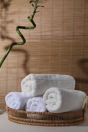 Photo of Rolled terry towels and green branch on white table indoors