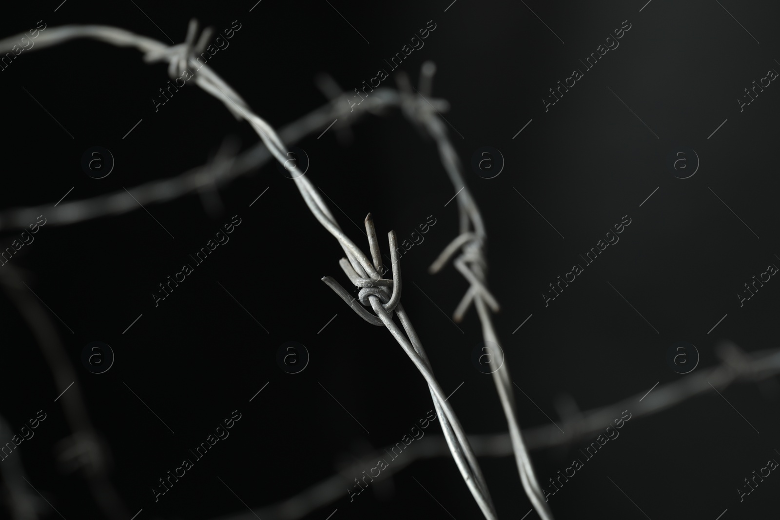 Photo of Metal barbed wire on dark grey background, closeup