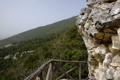 Photo of Picturesque view of green forest in mountains