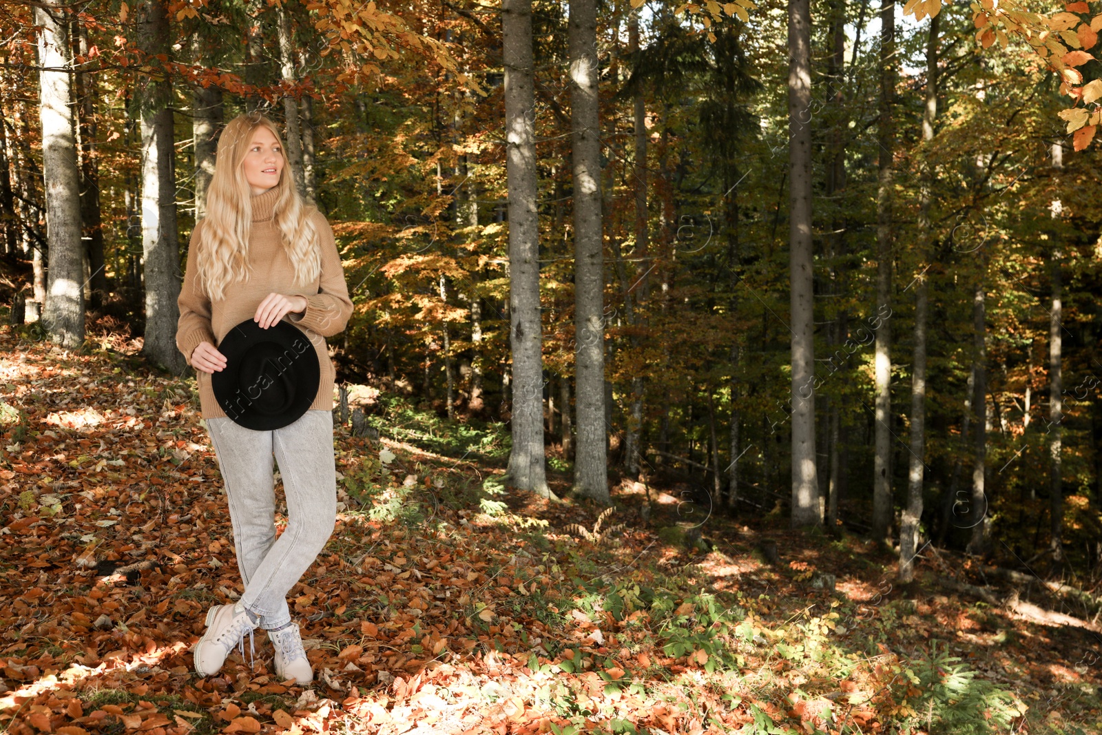 Photo of Full length portrait of beautiful young woman with hat in autumn forest. Space for text