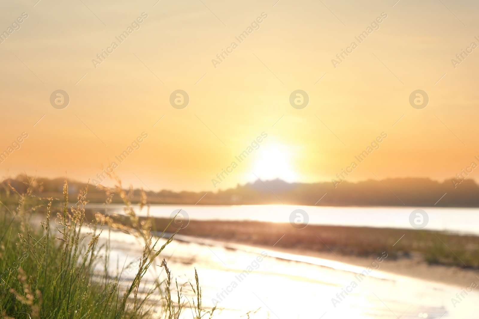 Photo of Picturesque landscape with beautiful sunlit lake, focus on grass
