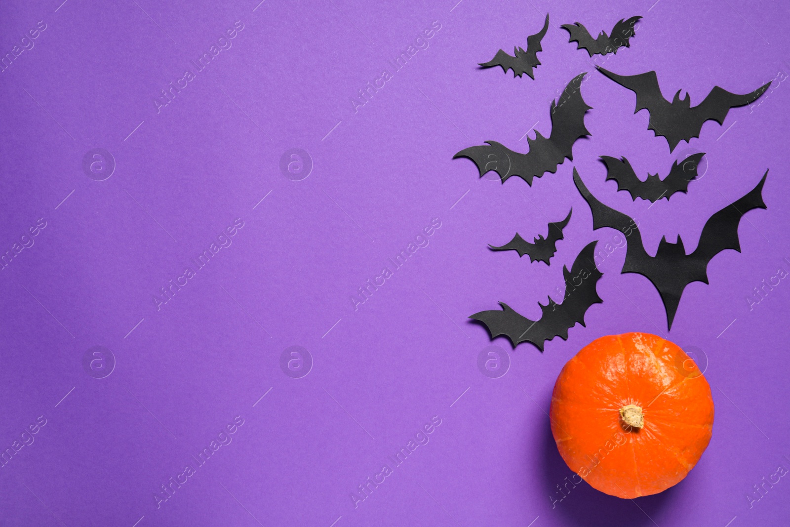 Photo of Flat lay composition with pumpkin and paper bats on purple background, space for text. Halloween decor