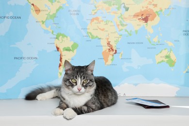 Photo of Cute cat, passport and tickets on white table near world map. Travelling with pet