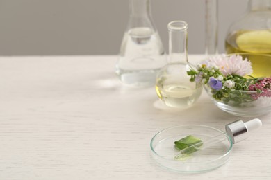 Photo of Developing cosmetic oil. Flowers, Petri dish with aloe, and dropper on white table, space for text