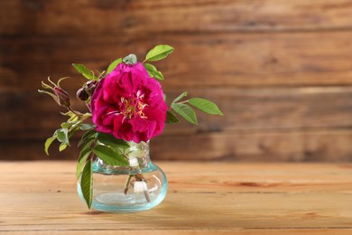 Photo of Beautiful roses in glass vase on wooden table, space for text