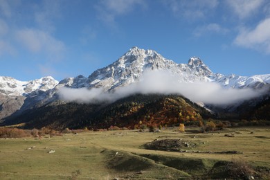 Photo of Picturesque view of high mountains with forest covered by mist and meadow on autumn day