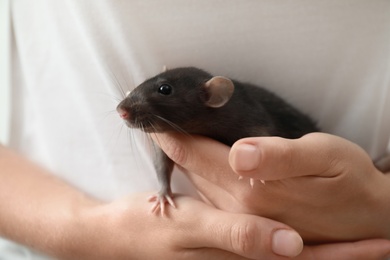 Photo of Young woman holding cute small rat, closeup