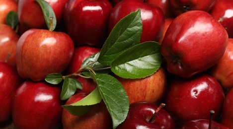 Photo of Fresh ripe red apples with leaves as background, closeup