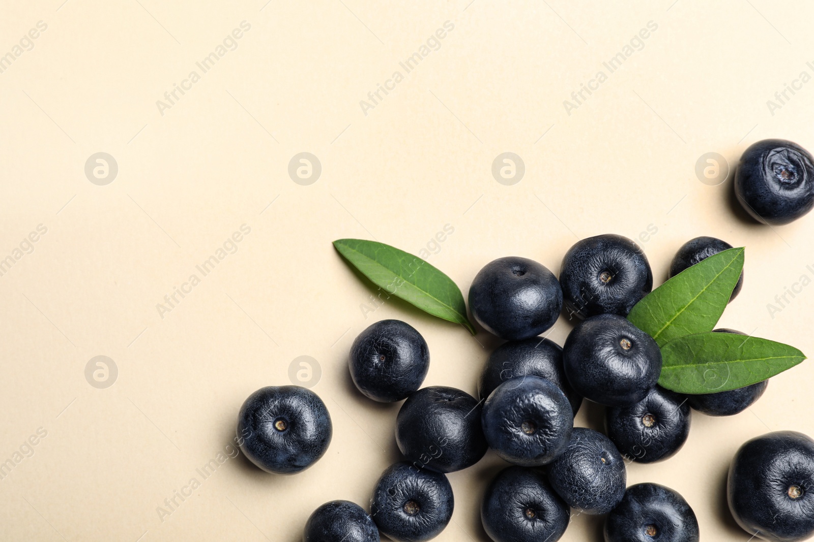 Photo of Fresh acai berries with leaves on beige background, flat lay. Space for text