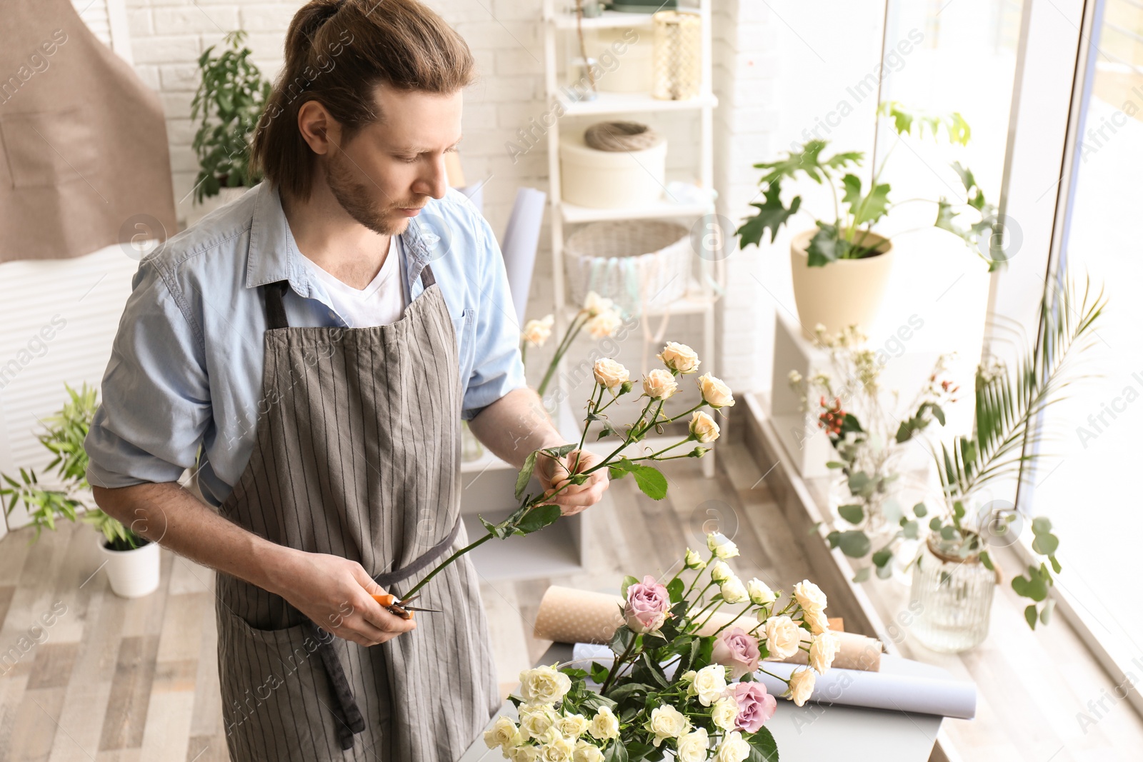 Photo of Male florist pruning stem at workplace