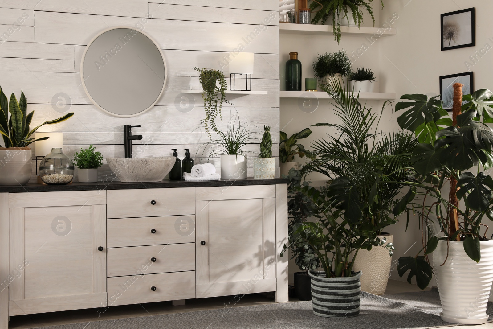 Photo of Stylish bathroom interior with vessel sink and beautiful plants