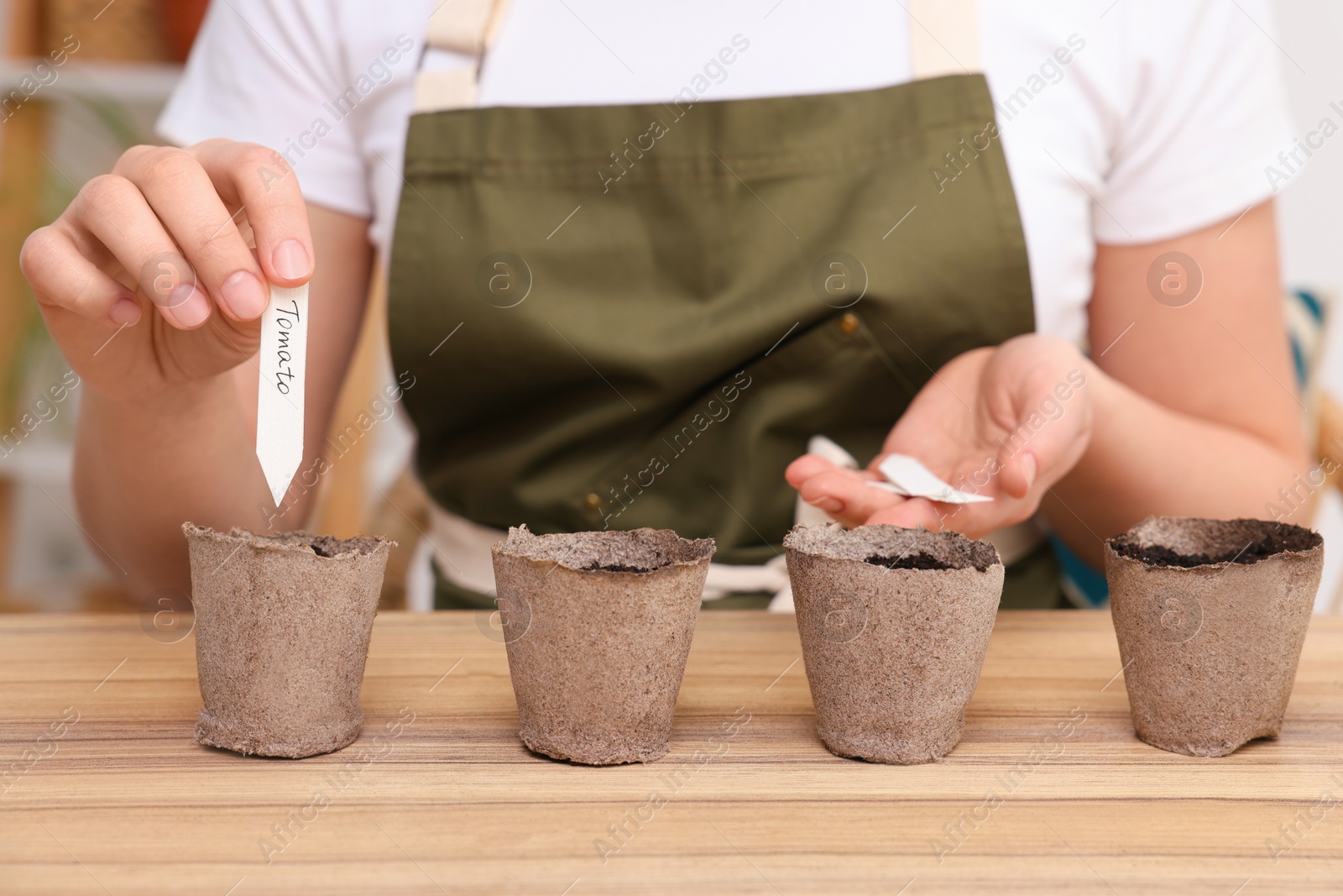 Photo of Woman inserting cards with names of vegetable seeds into peat pots at table, closeup