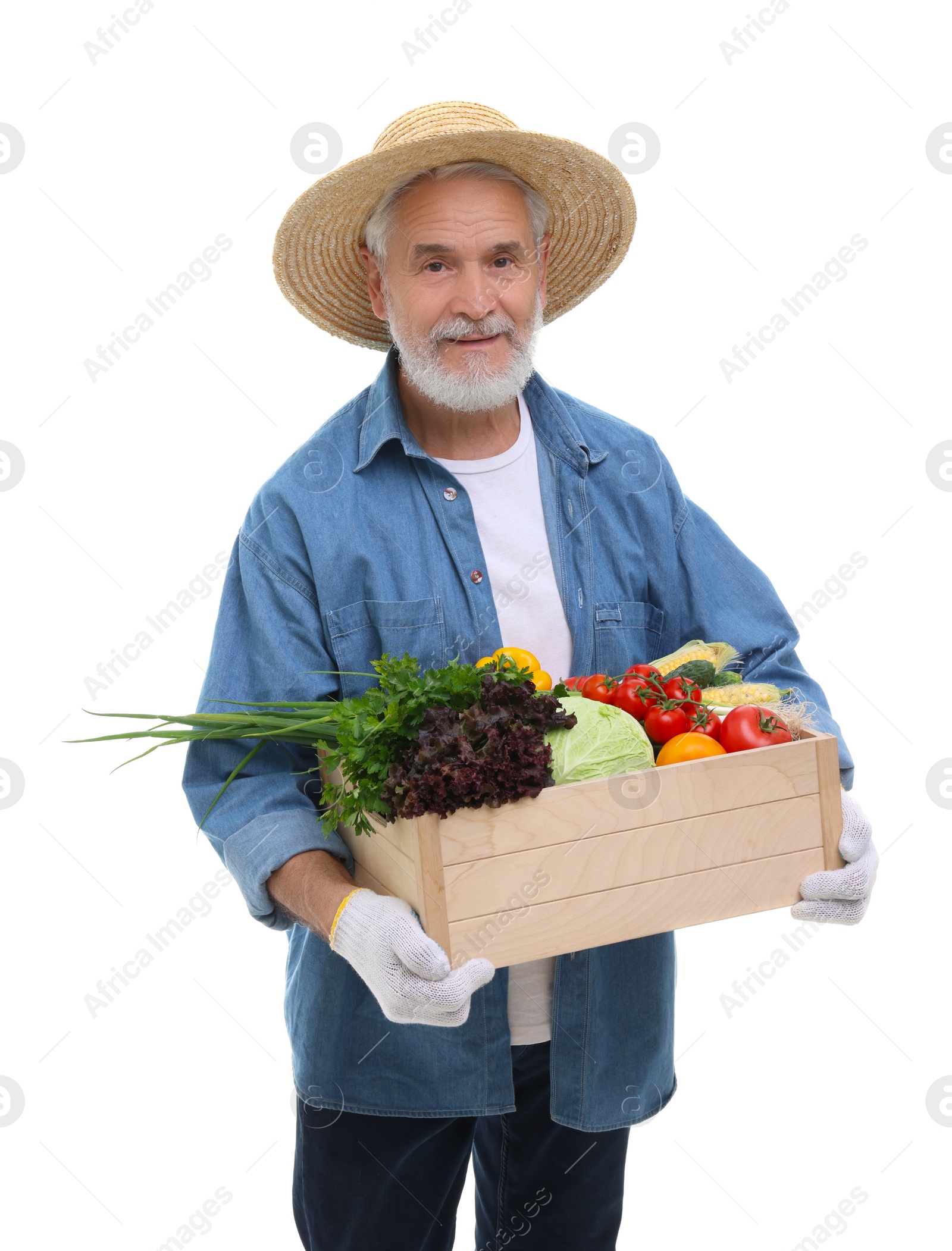 Photo of Harvesting season. Farmer holding wooden crate with vegetables on white background