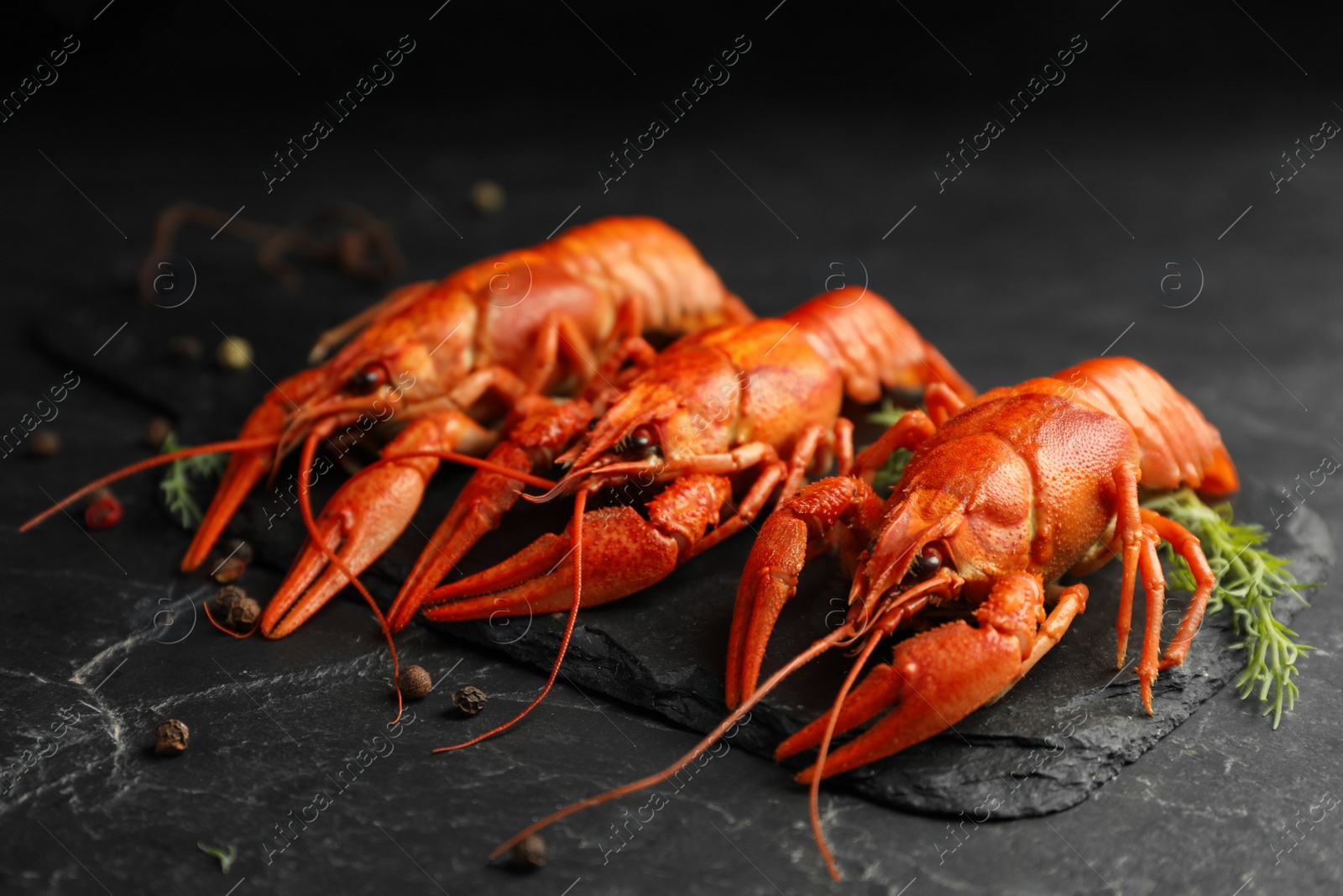 Photo of Delicious boiled crayfishes with dill and pepper on black table, closeup