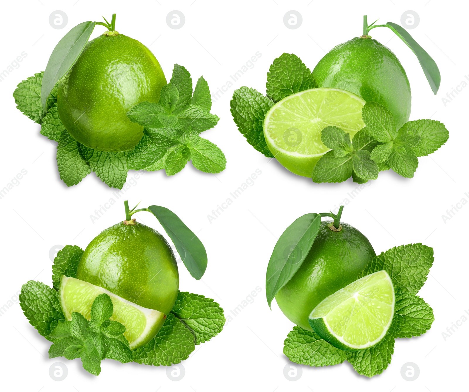 Image of Fresh ripe limes and green mint leaves isolated on white, set